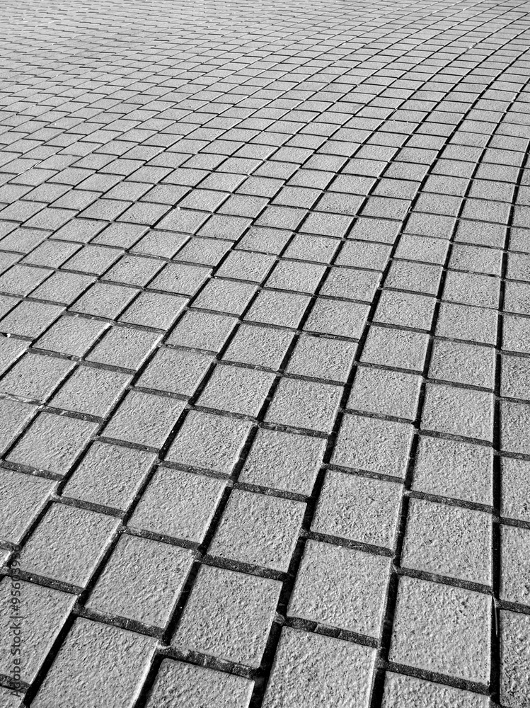 Fototapeta premium 公園の石畳