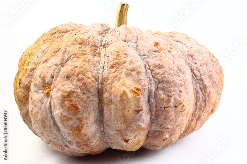 Fotografi pumpkin ugly rot isolated on white background