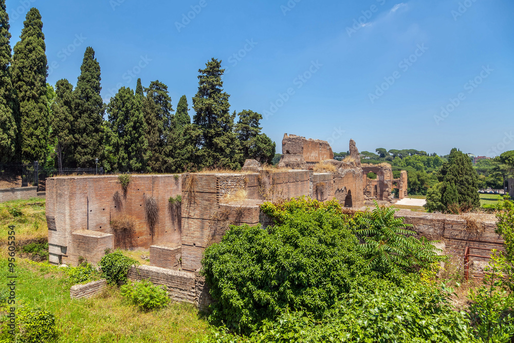 The ruins of the Baths of Caracalla. (Thermae Antoninianae)