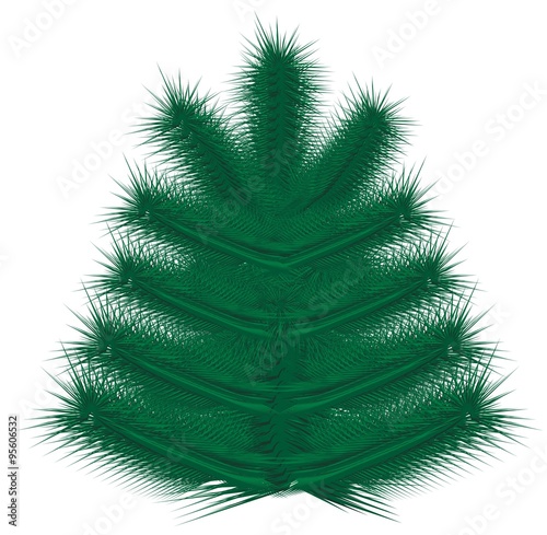 Isolated Christmas tree without decorations