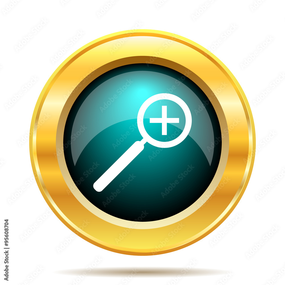 Zoom in icon Zoom in icon
