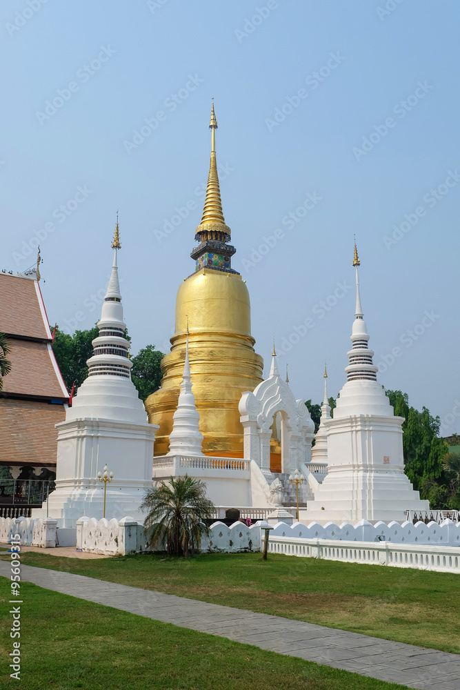 golden pagoda in wat suan dok temple, chiang mai, thailand