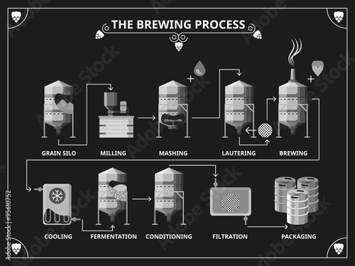 Beer brewing process. Vector beer production infographic set