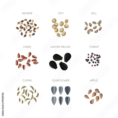 Plant seed flat vector icons set