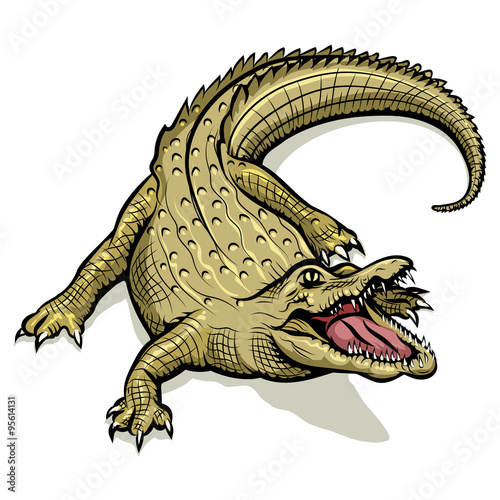 Cartoon green crocodile