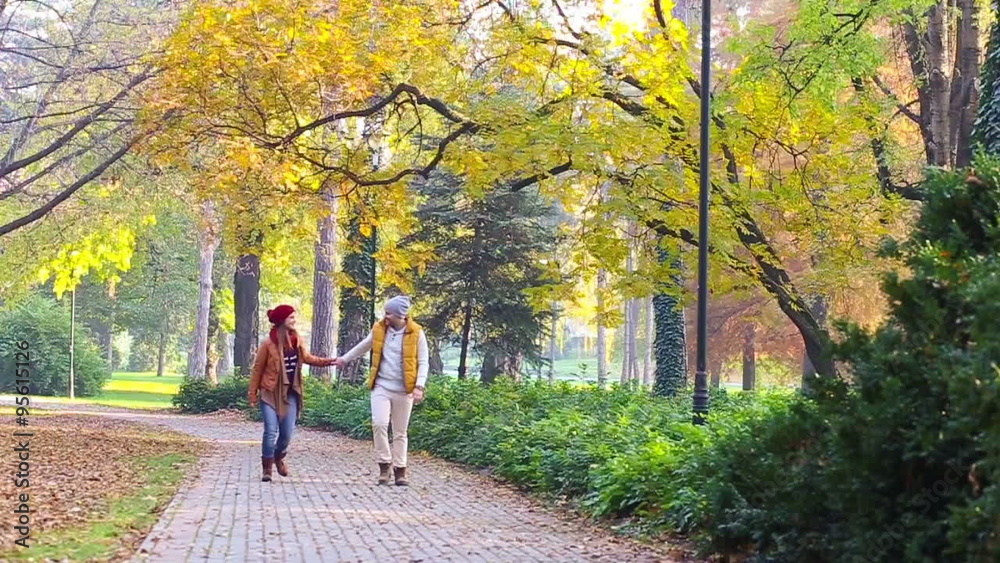 Romantic young couple walking in the park, walking, kissing and holding hands. Slow motion. Romantic young couple walking in the park, walking, kissing and holding hands. Slow motion.
