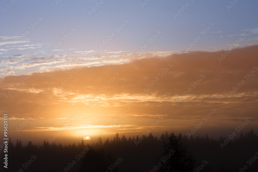 sunrise over forest