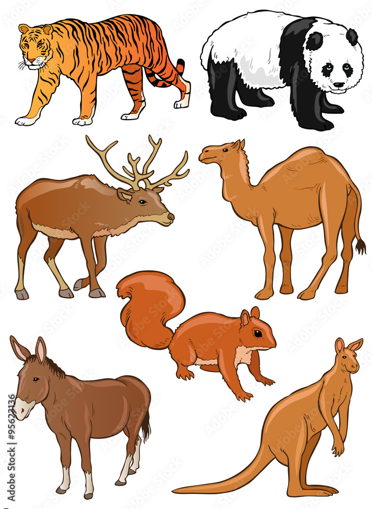Vector Wild Animals Vector Wild Animals