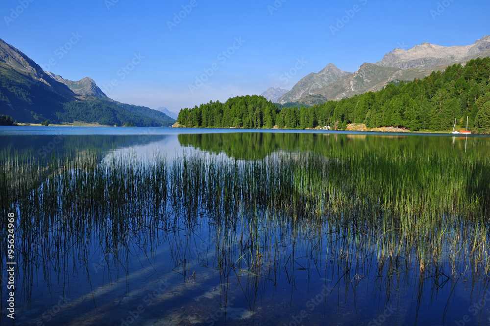 Spiegelnder Silsersee mit Blick auf die Halbinsel Chasté