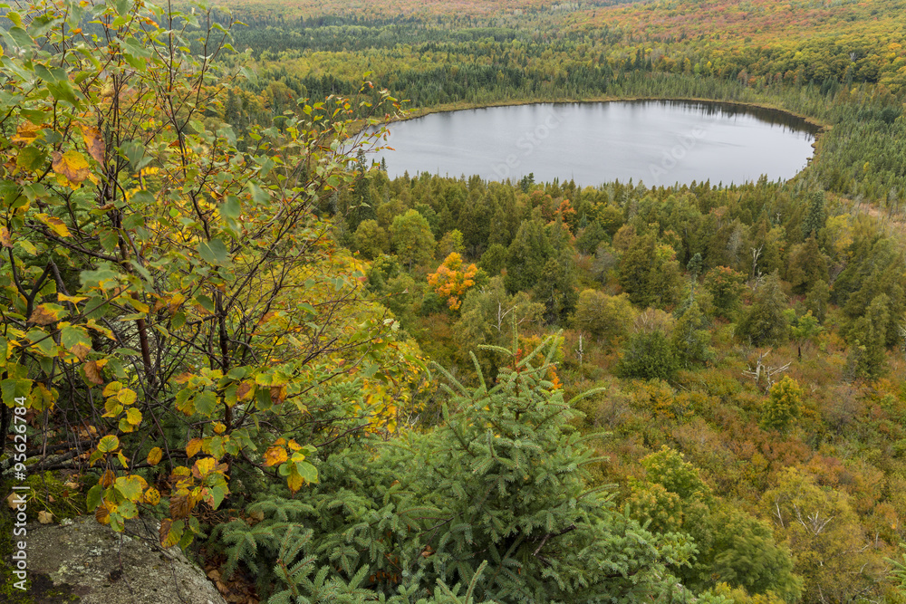 Autumn Forest & Lake Scenic