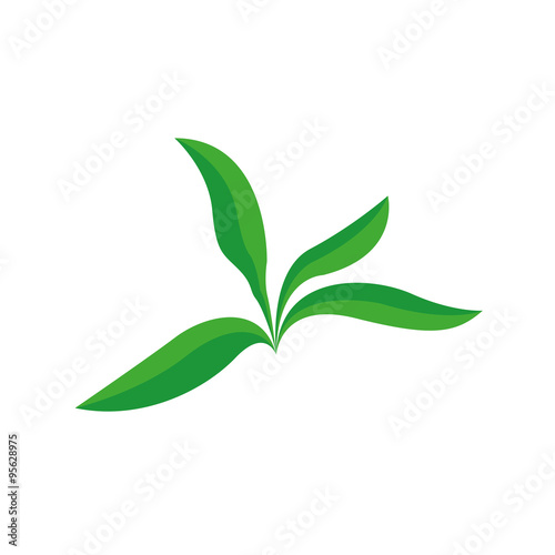 leaf logo icon