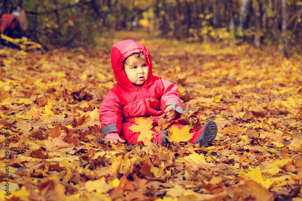 happy cute little girl in autumn leaves happy cute little girl in autumn leaves