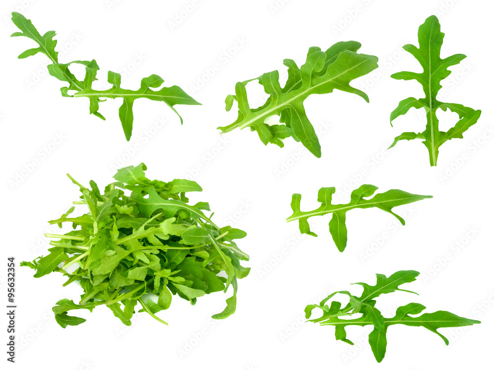 Arugula leaves isolated on white
