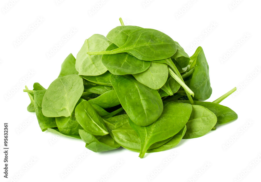 leaves of spinach isolated on white background leaves of spinach isolated on white background