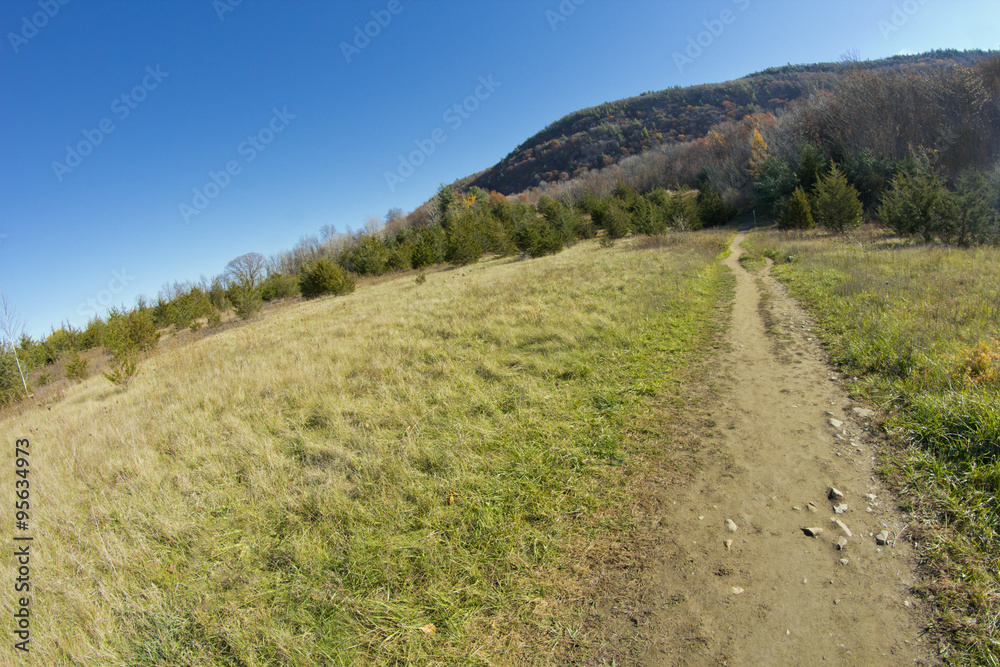 Dirt Path Appalachian Mountains