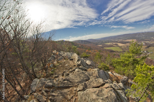 Appalachian Mountain Pine