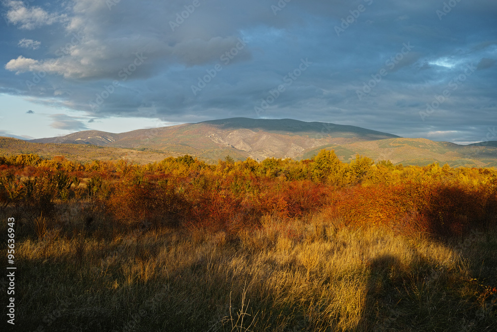 Autumn landscape / Bulgaria