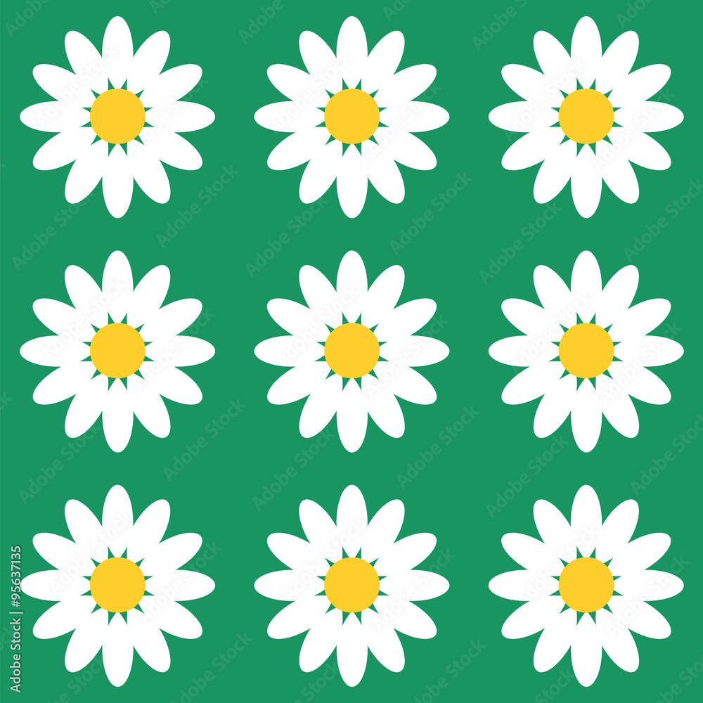 chamomile chamomile