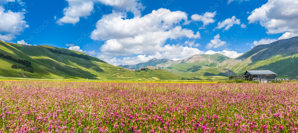 Idyllic Piano Grande summer landscape, Umbria, Italy