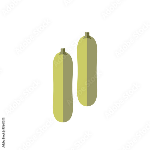 zucchini color vector flat icon vegetable