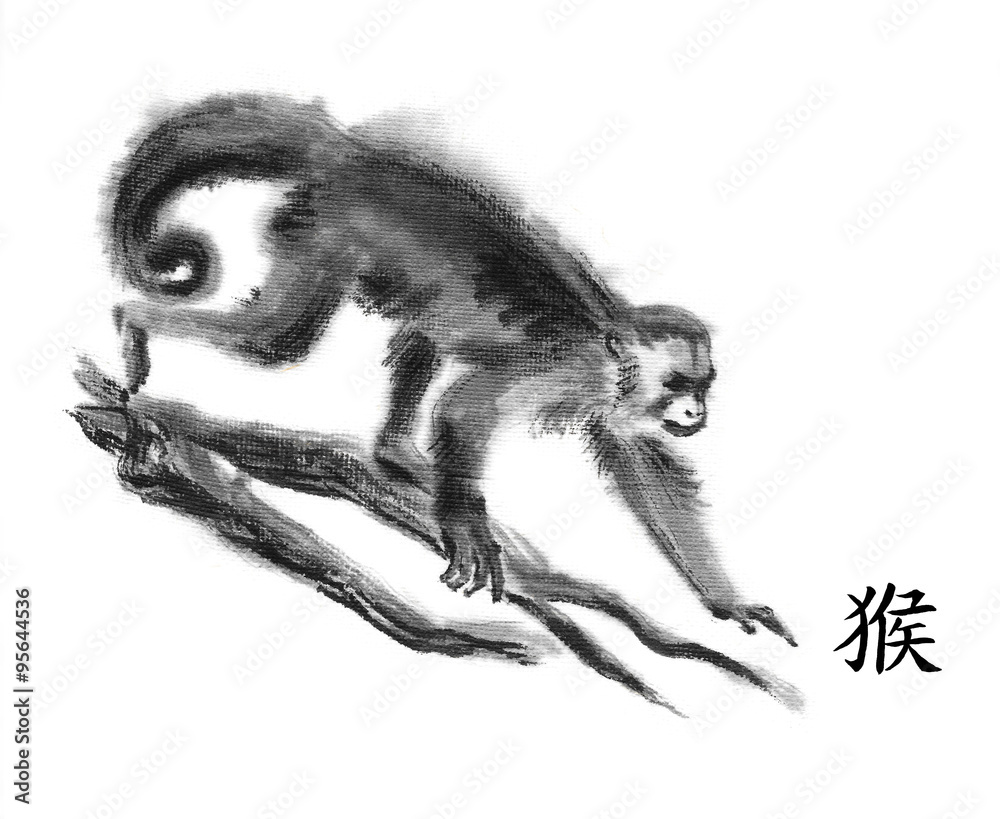 Illustrazione Stock Monkey oriental ink painting with Chinese hieroglyph " monkey". Gracile capuchin walking on tree branches. Isolated on white  background Symbol of the new year of monkey. | Adobe Stock