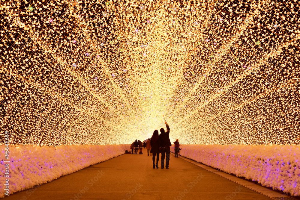 Fototapeta premium świetlik w świetle zimowym, Mie, Japonia