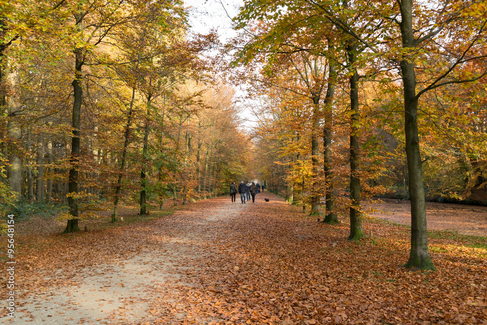 People enjoying a walk on footpath in autumn, in woods near Baarn, Netherlands People enjoying a walk on footpath in autumn, in woods near Baarn, Netherlands