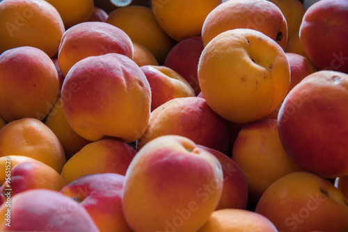 Basket of fresh italian apricots