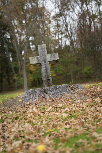 Religious Cross Carved in Tree Stump