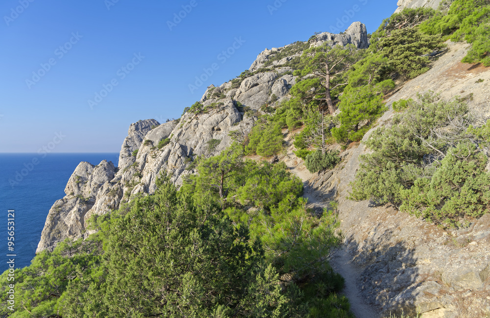 The trail on the steep mountainside.