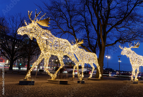 Photography Christmas moose floc made of led light