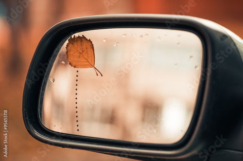 leaf on rear view mirror © arts