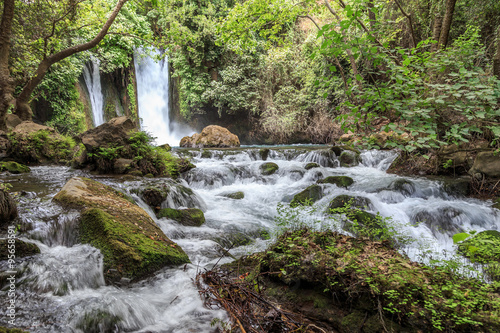 Slika na platnu Golan Heights. Banias Nature Reserve. Banias Waterfall