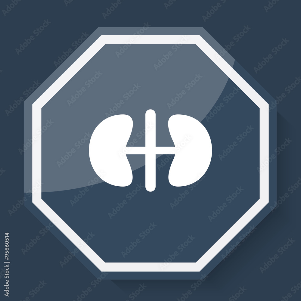 Obraz premium White Kidneys icon on plum blue web app button