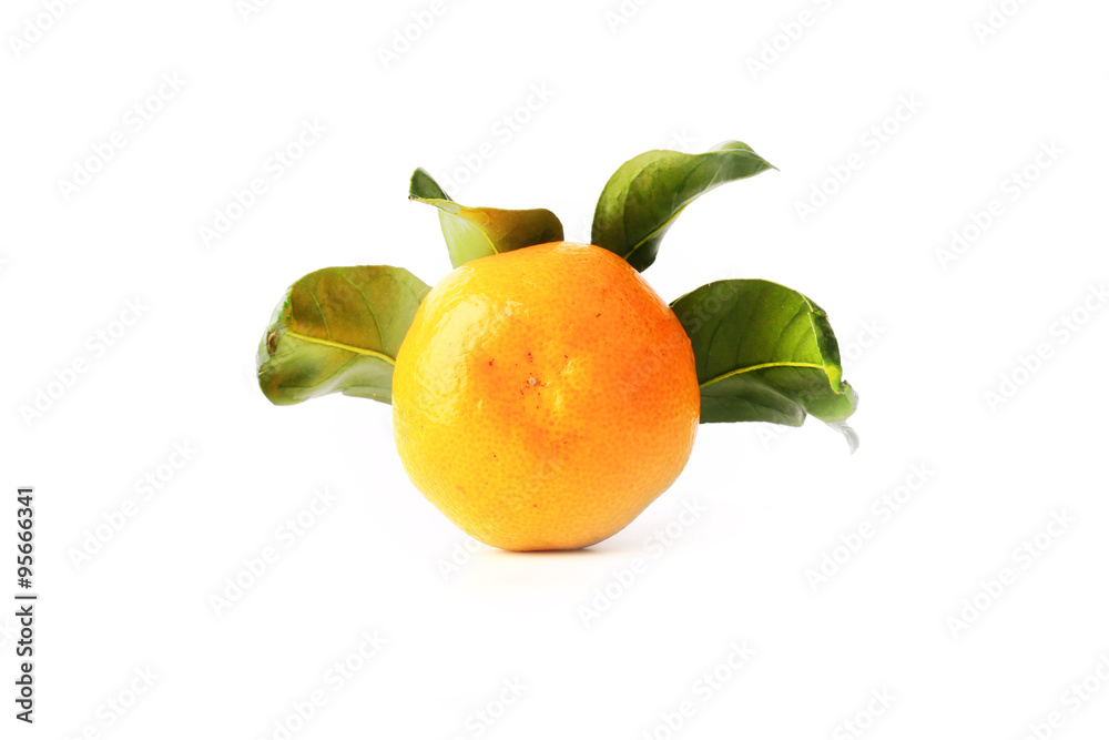 tangerine with leaves isolated on a white background