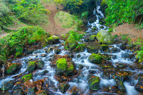 Fototapeta Naklejka Na Ścianę i Meble -  Waterfall Dartmoor National Park England