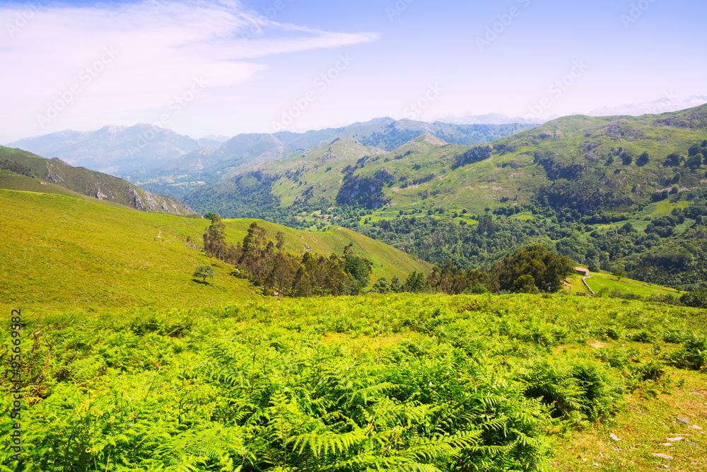 Obraz premium mountains landscape. Asturias, Spain