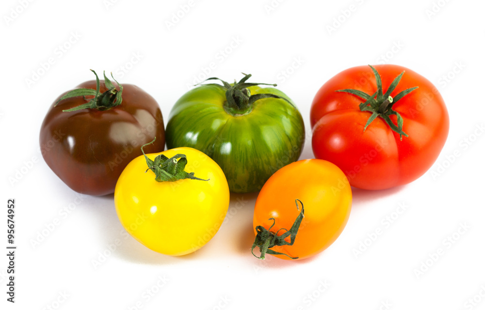 Different colors tomatos, Solanum lycopersicum, on white backgroung Different colors tomatos, Solanum lycopersicum, on white backgroung