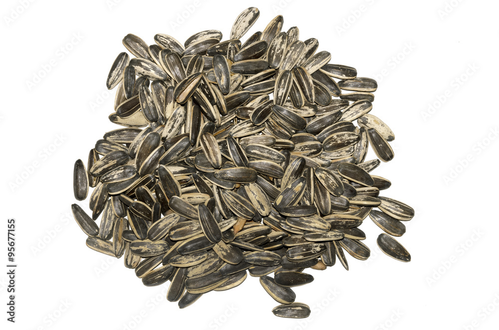 sun flower seeds sun flower seeds