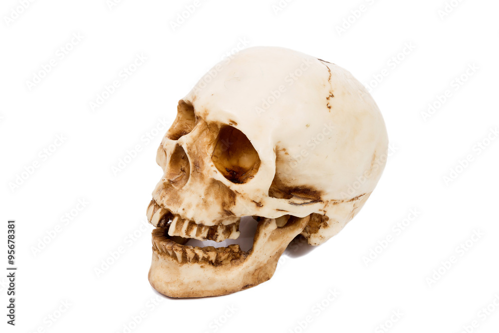 Obraz premium Old human skull isolated on white background.
