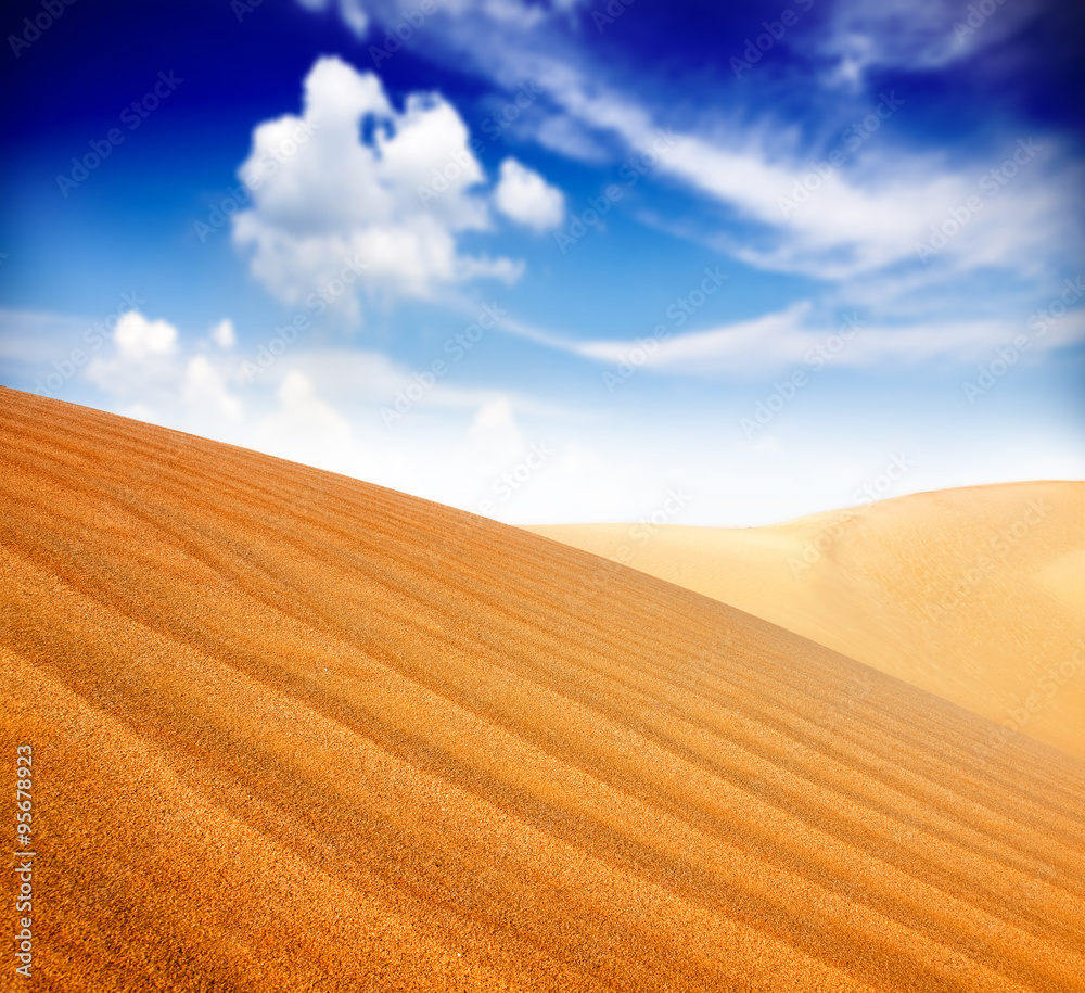 Fototapeta premium sand desert