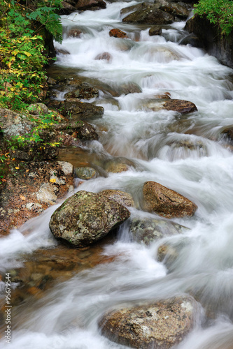 close up on stream winding in the valley