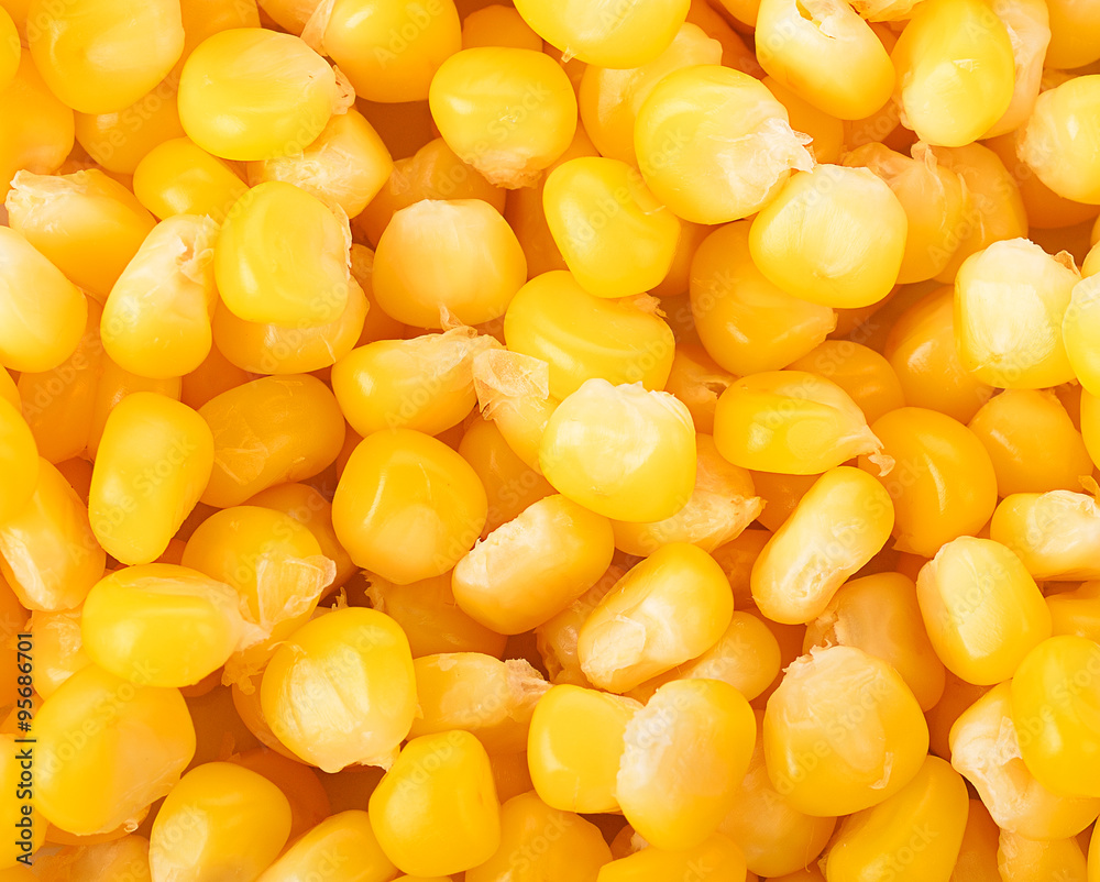 Bulk of yellow corn grains texture Bulk of yellow corn grains texture