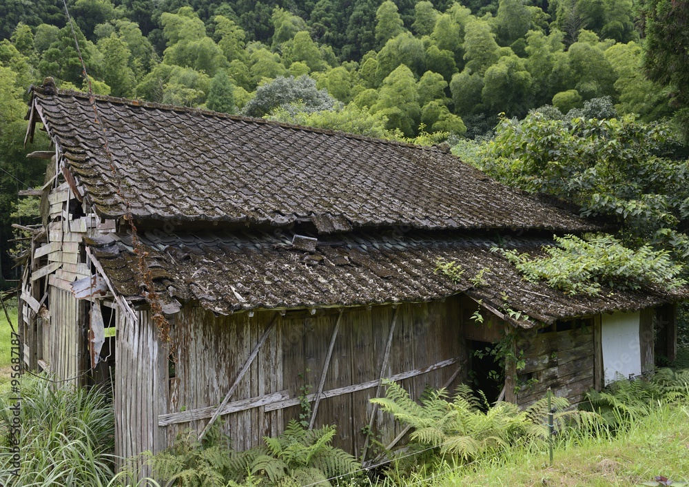 Obraz premium 廃屋