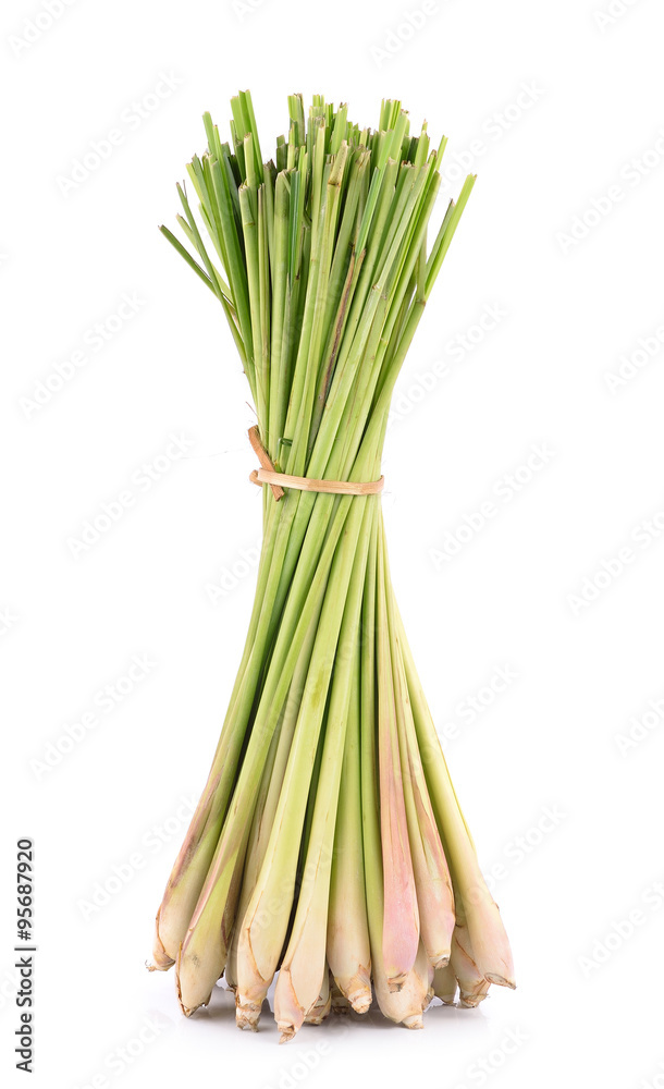 lemon grass on white background lemon grass on white background
