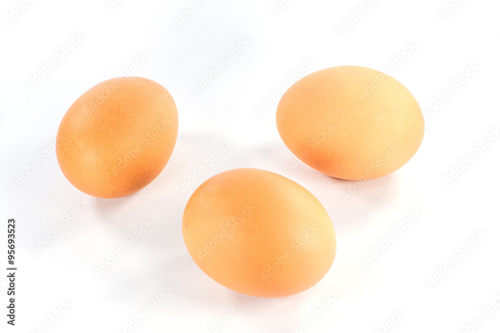 chicken egg chicken egg