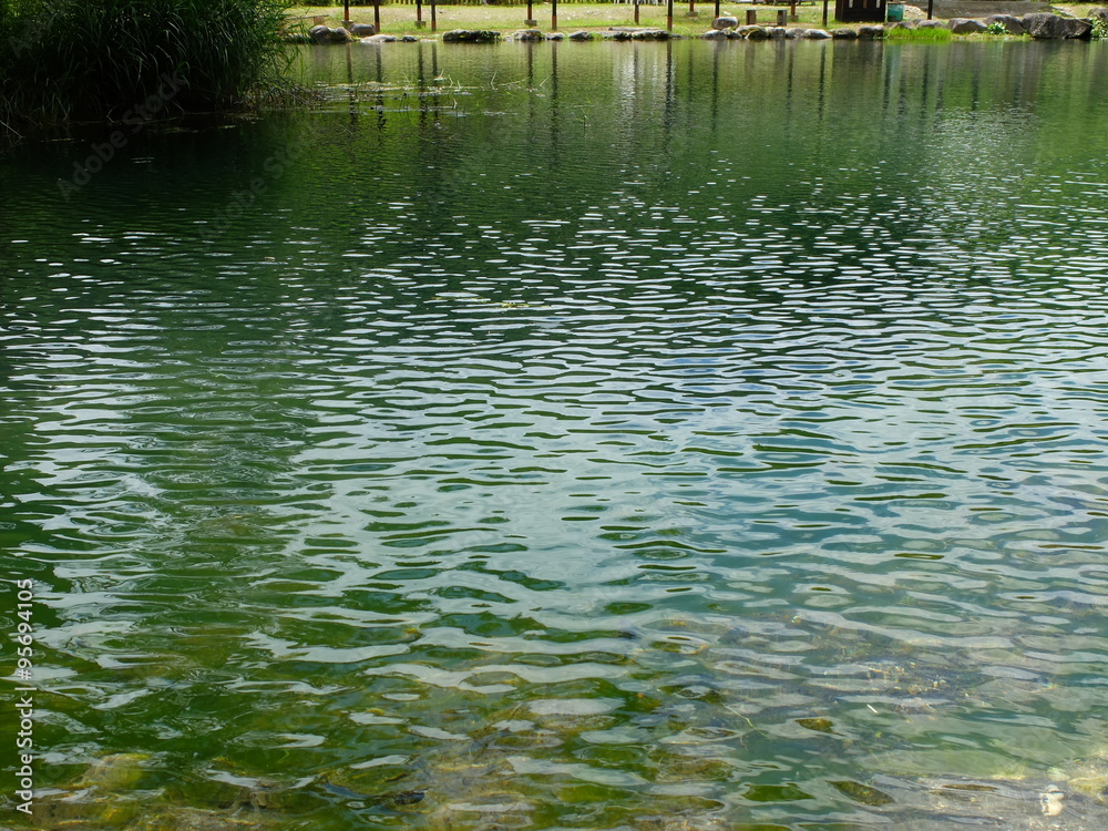 森の中の水辺 沼 池 釣り堀 森の中の水辺 沼 池 釣り堀
