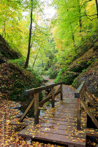 Forest path in autumn with wooden bridge