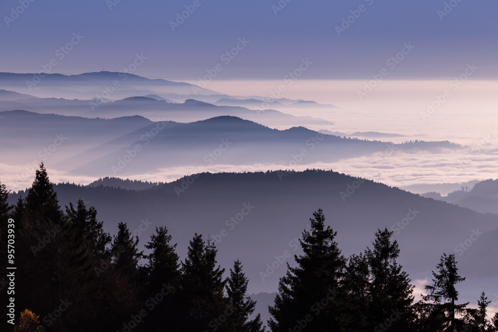 sunset over fog in Black Forest, Germany - obrazy, fototapety, plakaty 