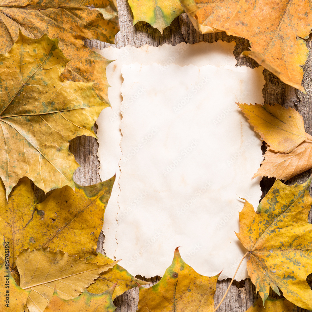 Vintage blank paper cards for notes on fallen leaves
